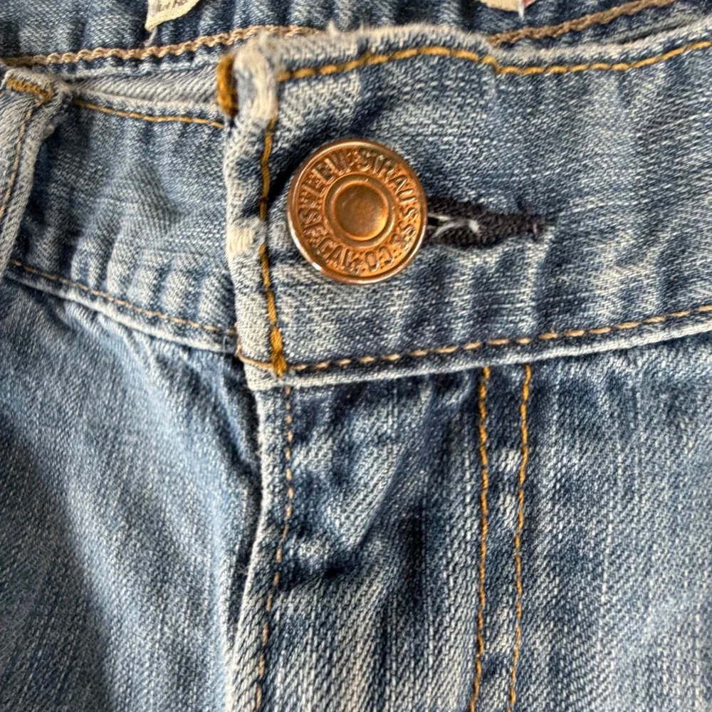 Levis levi strauss